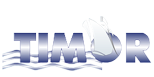 Timor logo